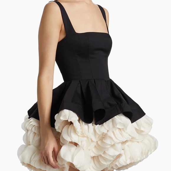 Bronx and Banco
Catalina Ruffled Satin Minidress - Picture 4 of 5